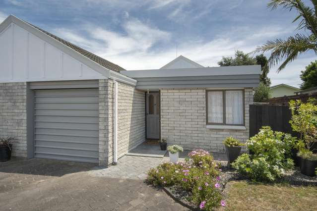17A Matavai Street Bayfair_1