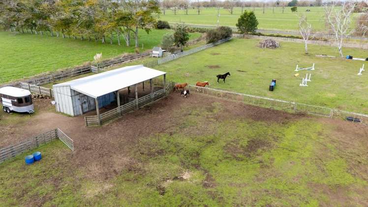 293 Woodlands Road Gordonton_30