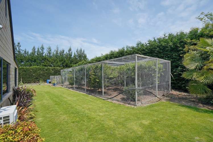 173 Wards Road Rolleston_6