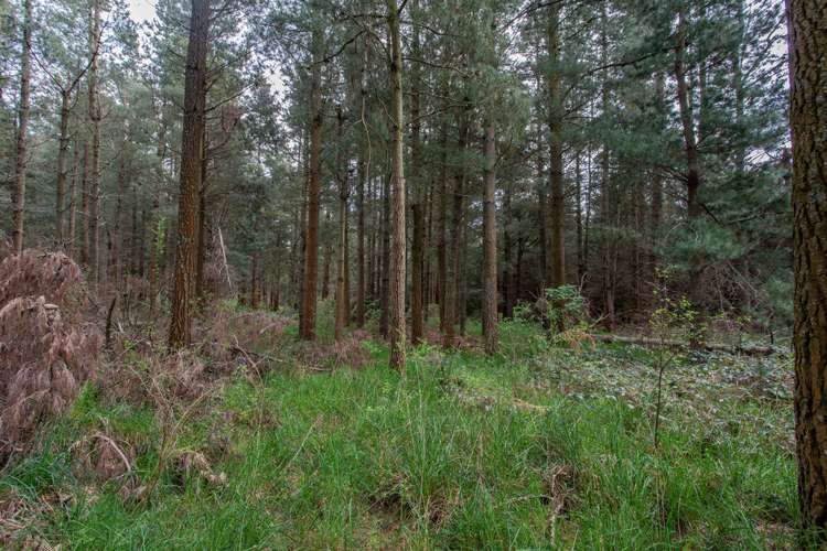 136 Burnt Hill Road Oxford_9