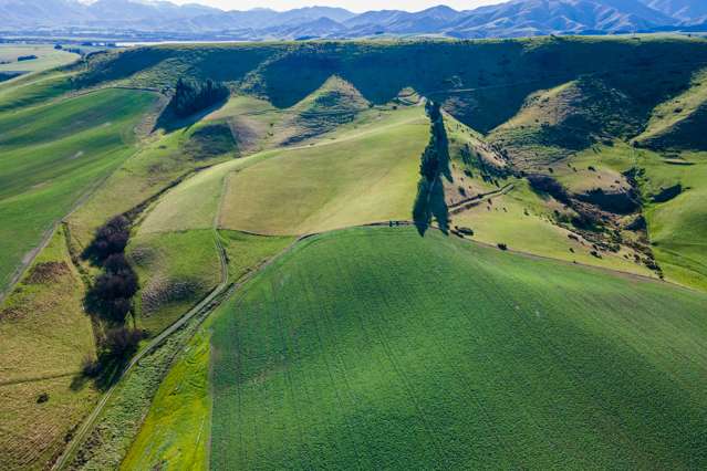 Mt Michael Valley Road Fairlie_4