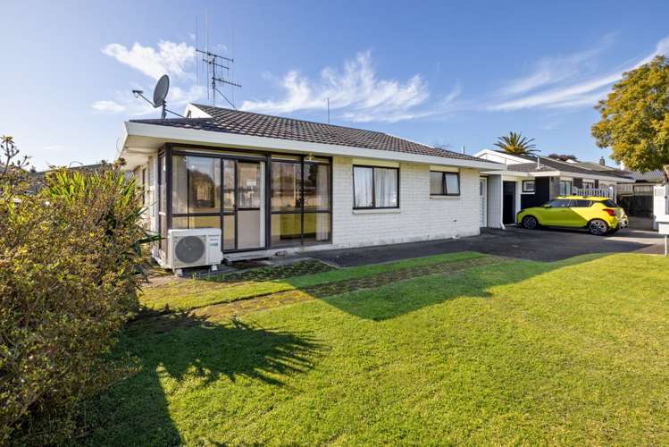 55A Sixteenth Avenue Tauranga South_5