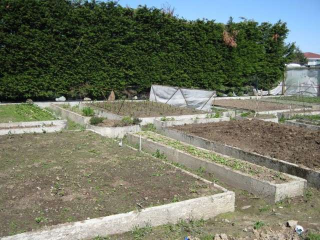 12 Oteramika Road Rockdale_1