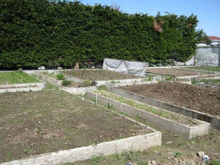 12 Oteramika Road Rockdale_1