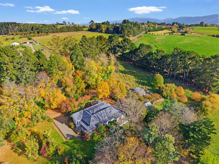 186 Summerhill Road Cust_15