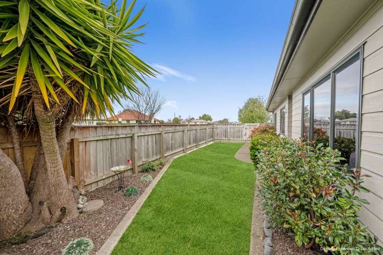 800 Princes Street Parkvale_2