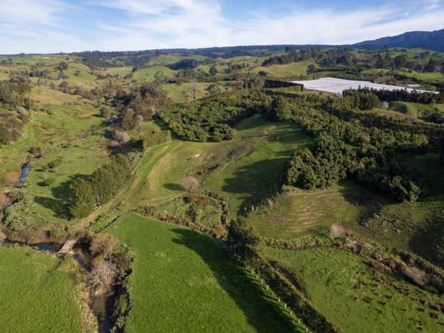 229 Walford Road Katikati_2