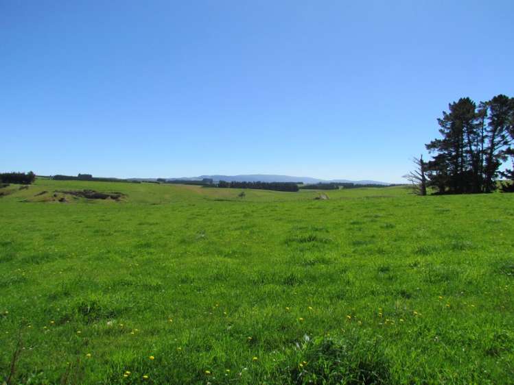 219 Beacon Hill Road Clinton and Surrounds_1