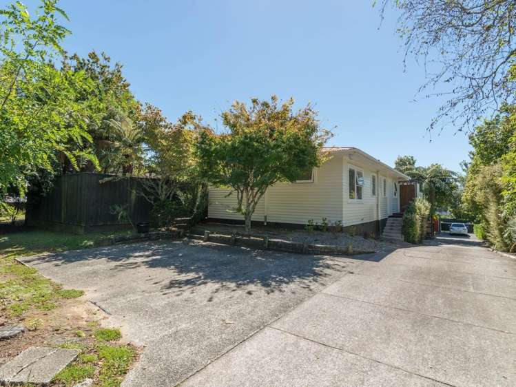 61 Springfield Road Springfield_19