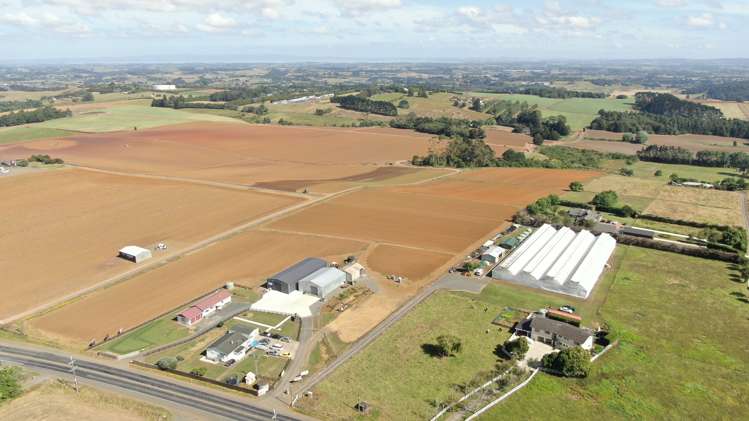 87 Mill Road Pukekohe East_5