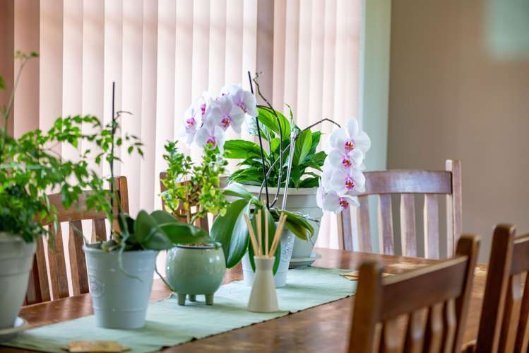 9 Matthews Crescent Melville_34