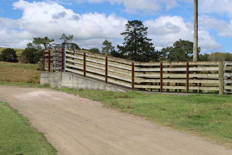 Aponga Road Ruatangata_14