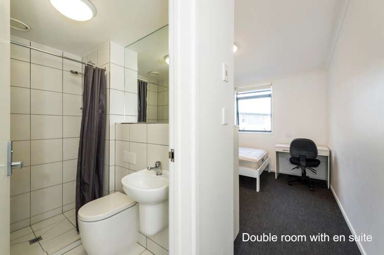 14 Shirley Road Grey Lynn_7