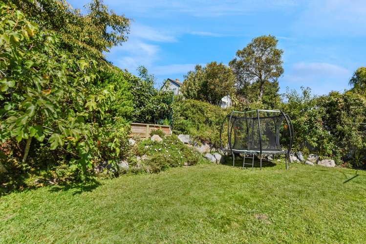 14 Orsman Crescent Toi Toi_22