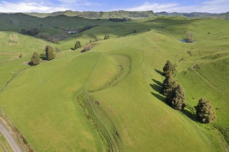 Mangatea Road Te Kuiti_17