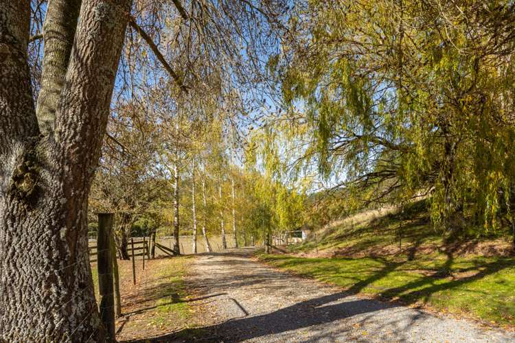 183 Onamalutu Road Wairau Valley_26