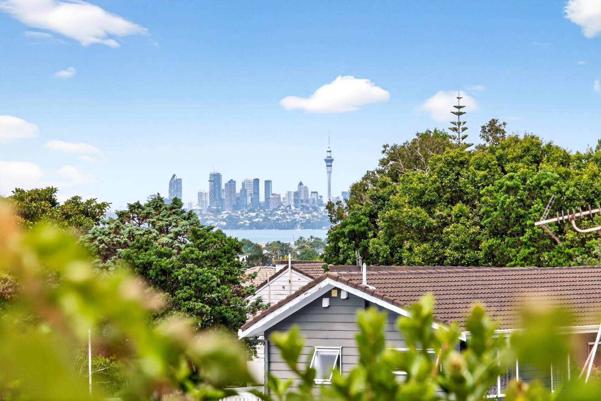 22 Widmore Drive Massey_0