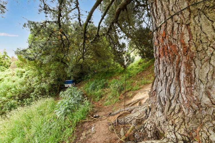 28 Puketai Street Andersons Bay_19