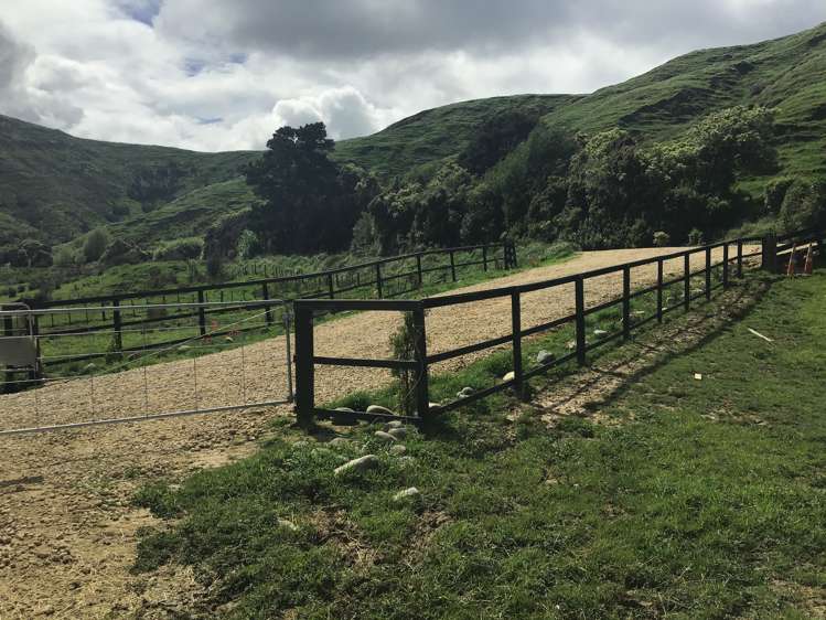 Pahiatua Pongaroa Road Pongaroa_5