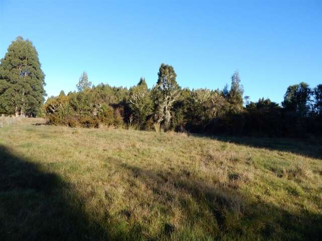 Lake Kaniere Road Kaniere_2