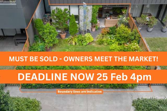 Established Garden + Bells & Whistles