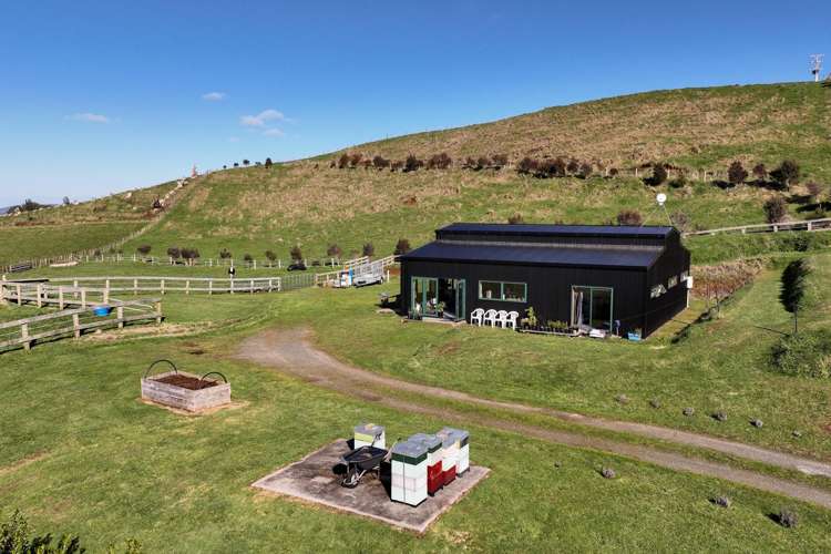 373 Pekanui Road_0
