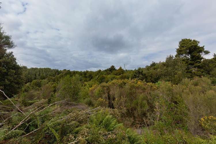 Brickfield Road Hokitika_8