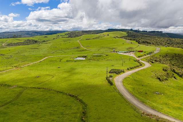 89 Jones Road Donnellys Crossing_3