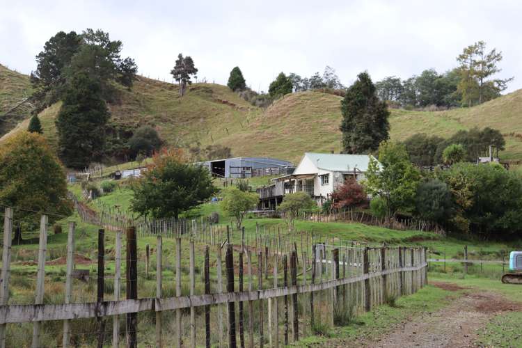 4869 Ohura Road Pohokura_5