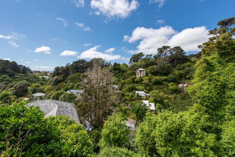 11 Mount Pleasant Road Aro Valley_2