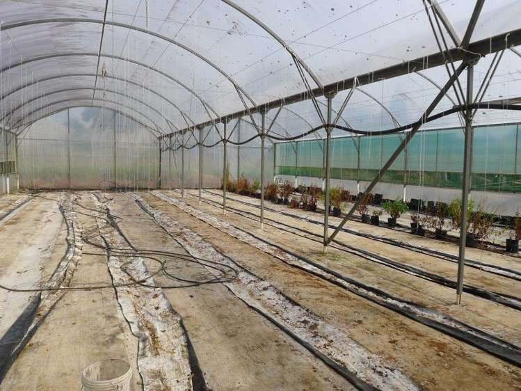 135 Waipapa West Road Kerikeri Surrounds_7