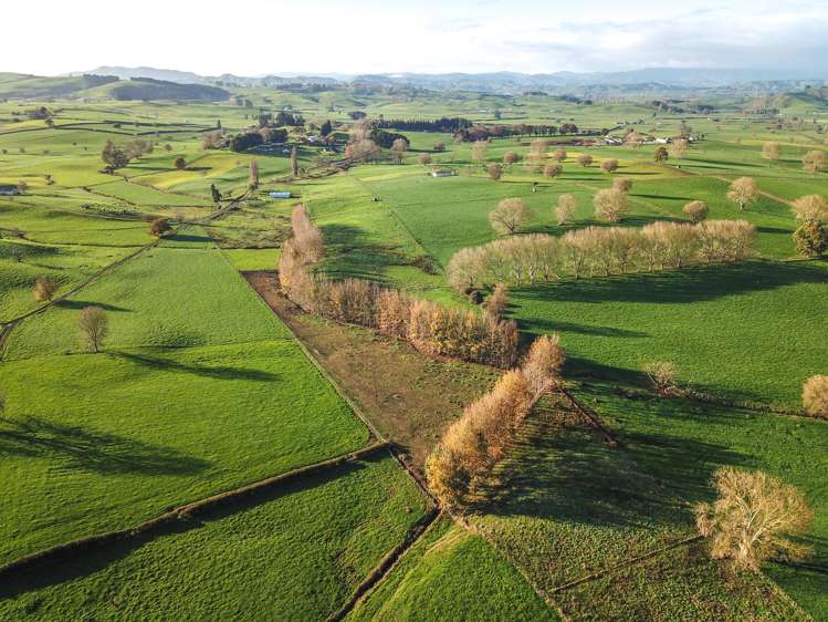 93 Blackett Road Otorohanga_9