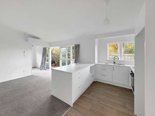 3/89B Te Kawa Road Greenlane_2