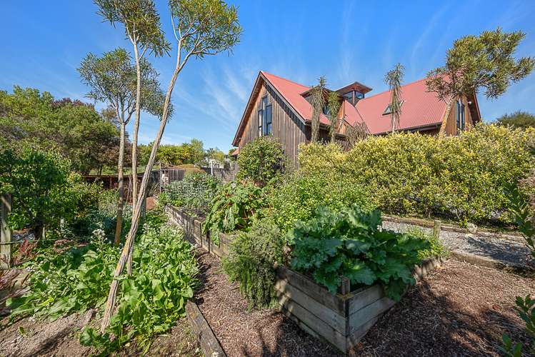 239 Redwood Street Witherlea_31