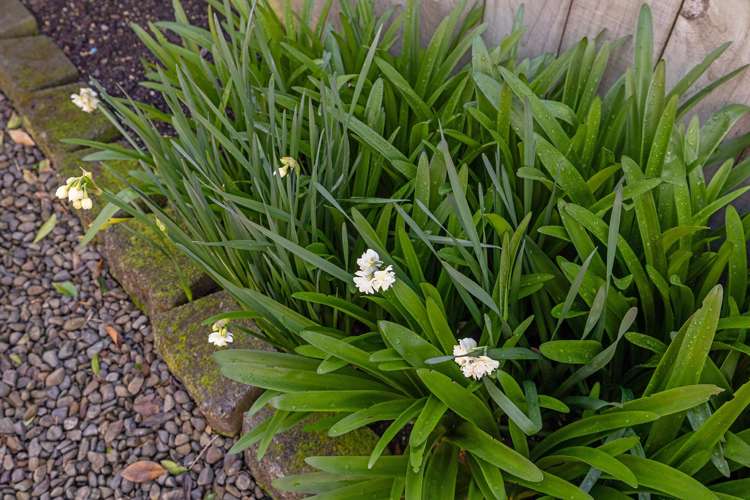 25/2 William Donald Drive Solway_13