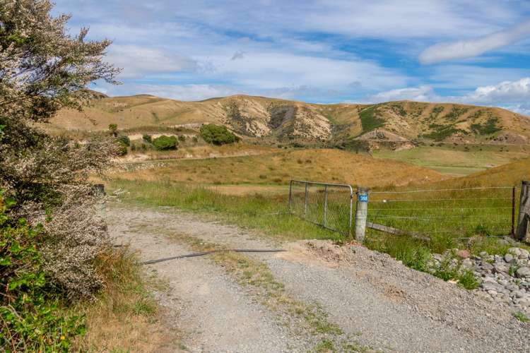 398 Redwood Pass Road Redwood Pass_9