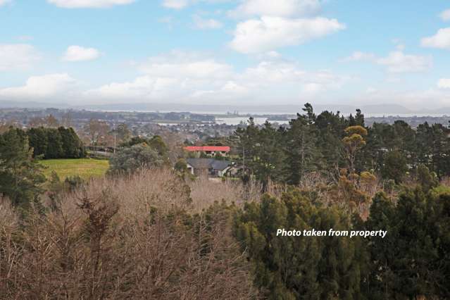 55 Ohiwa Road Papakura_1