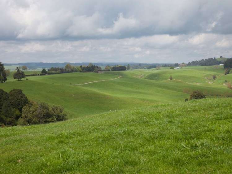 438 Waotu South Road Putaruru_46