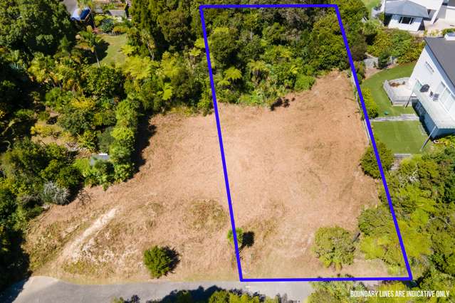 250B Beach Road Campbells Bay_3