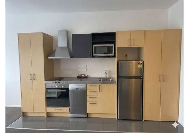 Putney Way Manukau_2