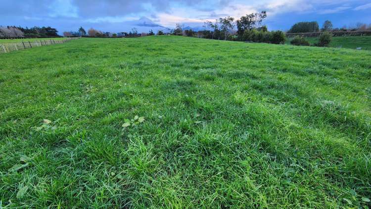 71 Lepper Road Inglewood_19