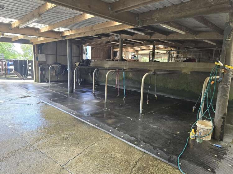 103 East Road Stratford_20