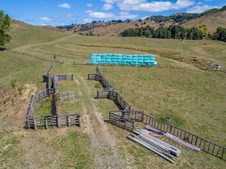 565 Matakitaki Road Glen Murray_7