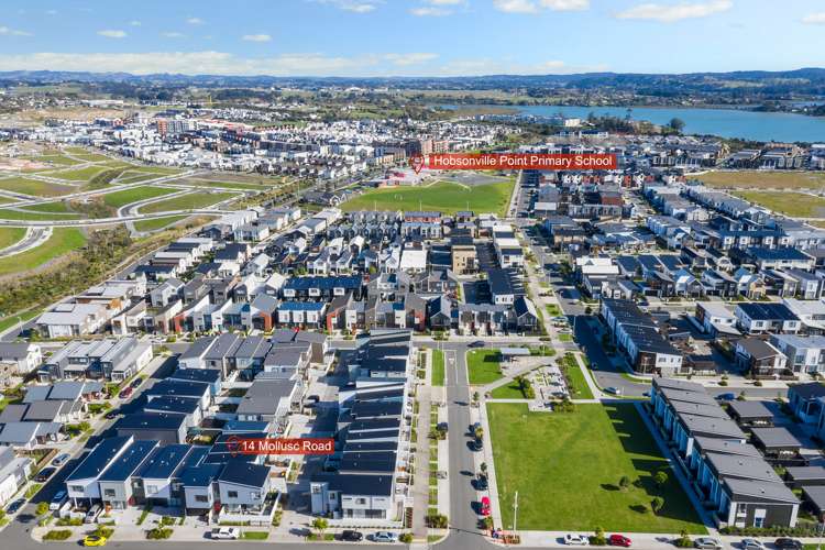 14 Mollusc Road Hobsonville_15