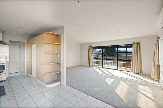 99 Boundary Road Blockhouse Bay_2