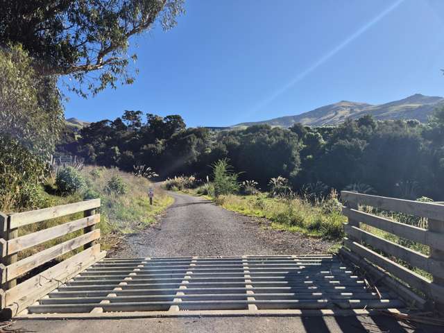 282 Wainui Main Road French Farm_2