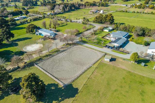 Superior equine lifestyle with legal income stream