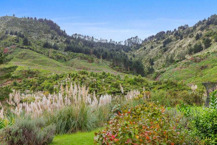 502 Wright Road Matakana_11