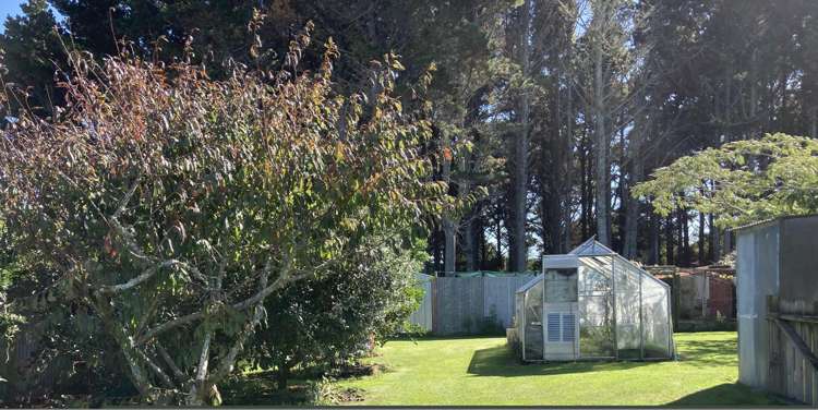 81 Seymour Street Waitara_20