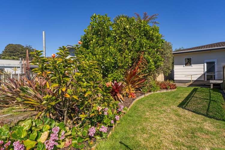 117 Robinson Road Whitianga_23